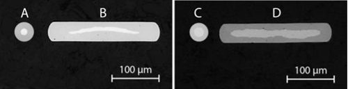 cross-sections of both round wire DFT and flat wire ribbon showing the inner platinum filling